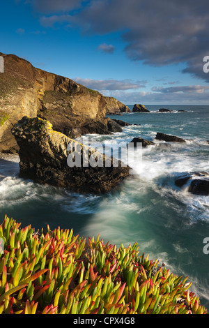 Lizard Point (the most southerly point in mainland Britain), Cornwall, England Stock Photo