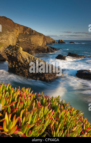 Lizard Point (the most southerly point in mainland Britain), Cornwall, England Stock Photo