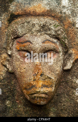 a face carved in stone in the rainforest at Casaroro Falls, nr Dumaguete, Negros, Philippines