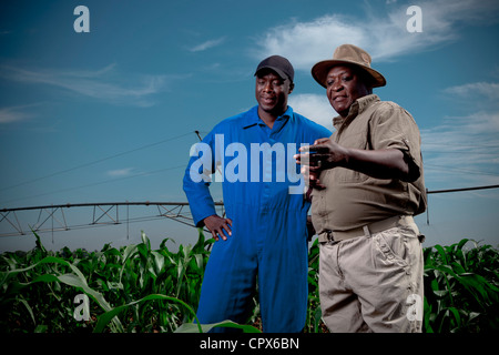 Black farmer stands smiling in a crop field with his worker Stock Photo