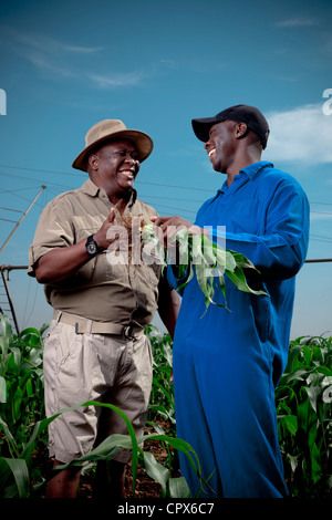 Black farmer stands smiling in a crop field with his worker Stock Photo