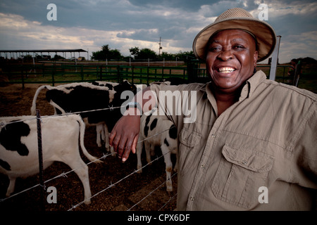 Black farmer, leaning against a fence with cows in the background Stock Photo