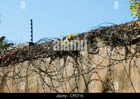 Closeup of a wall with electric fencing and barbed wire Stock Photo