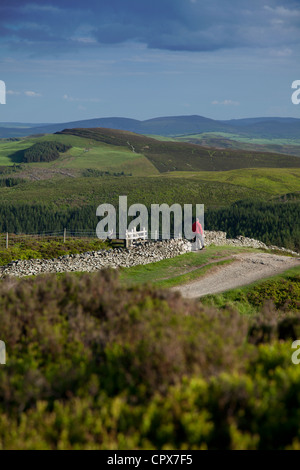 Hill waker taking in the view along the Clwydian Way and Offa's Dyke paths near to the summit of Moel Famau Stock Photo