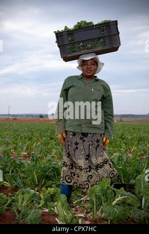 Kansas Farm Engagement Photo Shoot | Junebug Weddings