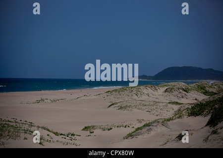 Scenic shot of a beach with ocean in the background Stock Photo