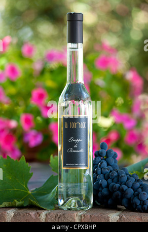 La Fornace Grappa di Brunello bottle at wine estate of La Fornace in Val D'Orcia, Tuscany, Italy Stock Photo