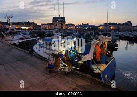 France, Loire Atlantique, La Turballe harbour, come back from fishing in the early morning Stock Photo