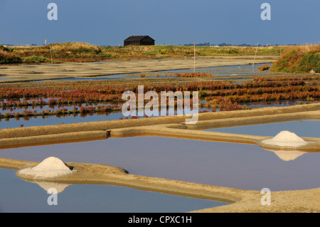 France, Loire Atlantique, Presqu'ile de Guerande, salt pile in salt marshes Stock Photo