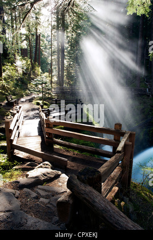 Trail near Sol Duc Falls - Olympic National Park, near Port Angeles, Washington, USA Stock Photo