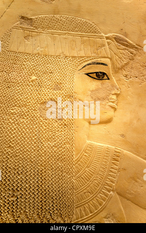 Egypt Upper Egypt Nile Valley surroundings of Luxor Thebes Necropolis listed as World Heritage by UNESCO Western area Valley of Stock Photo