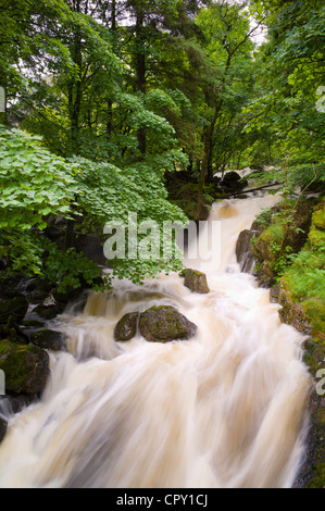 Launchy Gill waterfall by Thirlmere in the Lake District National Park, Cumbria, UK Stock Photo