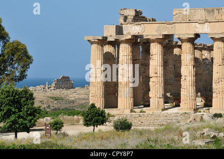 Selinunte. Sicily. Italy. Temple E (5C BC) Stock Photo