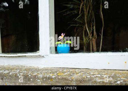 Window, door, Chipping Campden, The Cotswolds, England, Great Britain ...