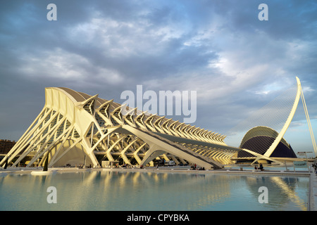 The City of Arts and Science, designed by Santiago Calatrava,Valencia,Spain Stock Photo