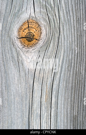 Close-up of an old silver oak plank Stock Photo