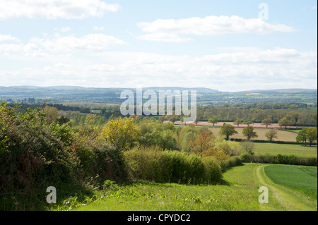 Herefordshire landscape, near Weobley Stock Photo - Alamy