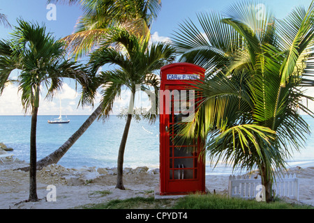 Antigua and Barbuda, Antigua Island, beach of Dickenson Bay, British phone box in the midde of the palm trees Stock Photo