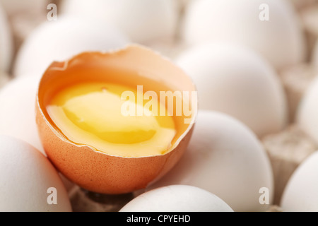 Chicken eggs. One egg is broken. Stock Photo