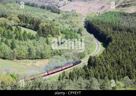 A steam train on the NYMR threading through Newtondale glaciated valley taken from Skelton Tower, North Yorkshire Moors, England Stock Photo