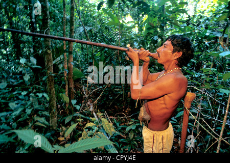 Venezuela, Amazonas State, Rio Sipapo, keeping their culture Piaroas indians hunt with a blowpipe Stock Photo