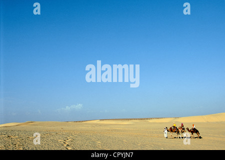 Tunisia, Kebili Governorate, oasis of Ksar Ghilane, meharee in the desert arriving from Douz Stock Photo