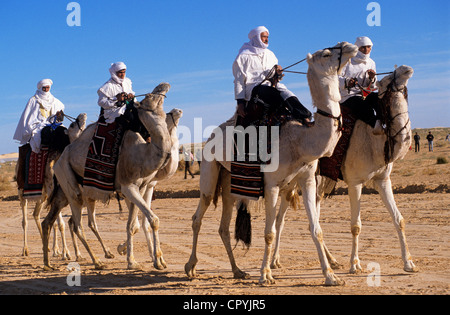 Tunisia, Kebili Governorate, Douz, Desert Festival, camels race, tuaregs riding white Meharis, pure blood camel Stock Photo