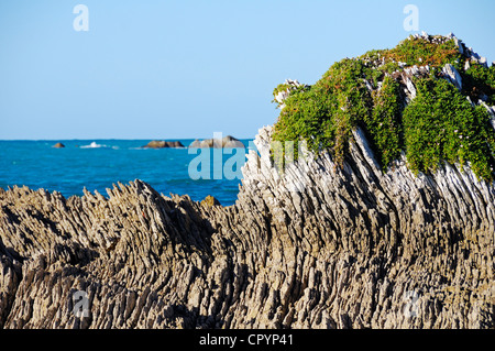 Geological rock layers on the Kaikoura Peninsula, South Island, New Zealand Stock Photo