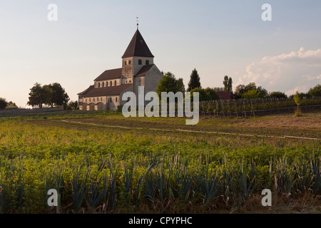 Church of St. George on the Gemueseinsel island of Reichenau, a UNESCO World Heritage site, Oberzell, administrative district of Stock Photo