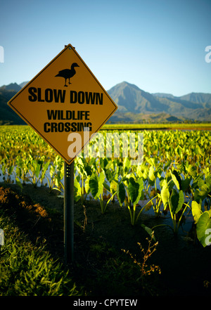 Road signs, Hanalei Valley, Kauai, Hawaii, USA Stock Photo - Alamy