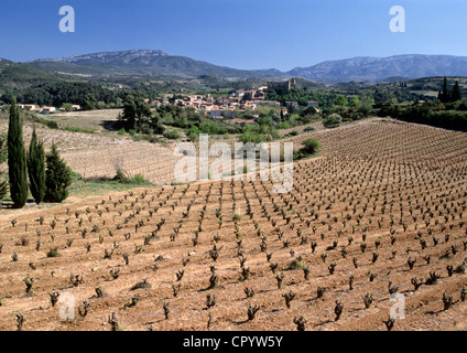 France, Aude, Durban Corbieres, vineyards in the Corbieres area Stock Photo