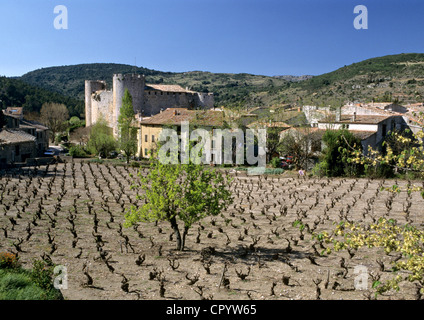 France, Aude, Durban Corbieres, vineyards in the Corbieres area Stock Photo