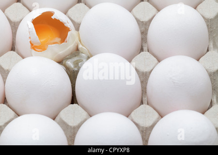 A broken egg among whole eggs in an egg carton Stock Photo