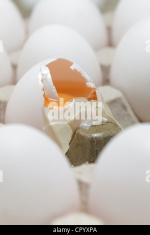 A broken egg among whole eggs in an egg carton Stock Photo