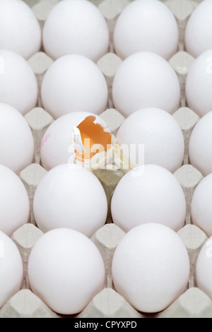 A broken egg among whole eggs in an egg carton Stock Photo