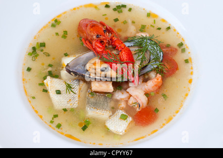 Fish soup, crayfish, green New Zealand mussels, perch, salmon, shrimp Stock Photo