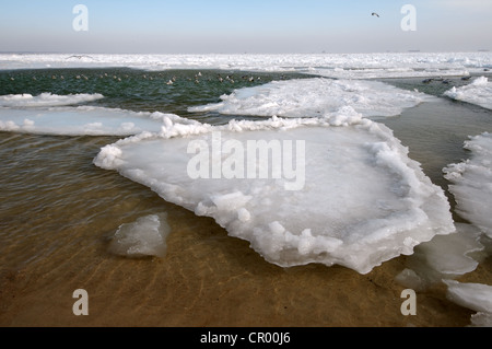 Frozen Black Sea, a rare phenomenon, occured in 1977 for the last time, Odessa, Ukraine, Eastern Europe Stock Photo