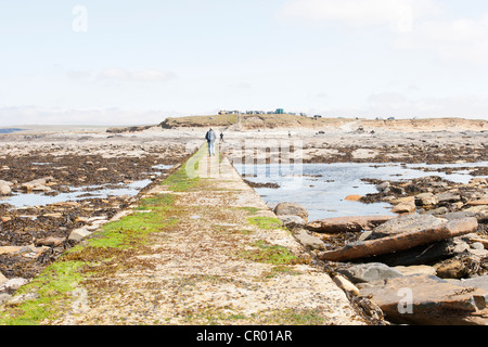 The brough of Birsay on the Orkney - causeway and low tide Stock Photo