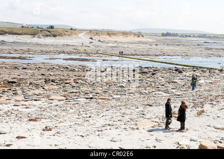 The brough of Birsay on the Orkney and causeway at low tide Stock Photo