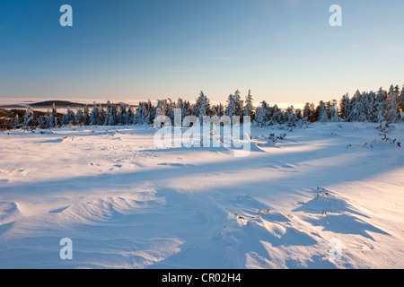 Winter landscape in the northern Black Forest, Baden-Wuerttemberg, Germany, Europe Stock Photo