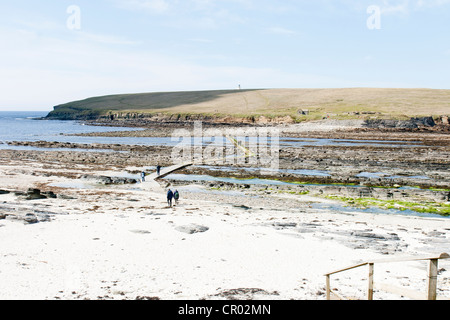 The brough of Birsay on the Orkneys and causeway at low tide Stock Photo