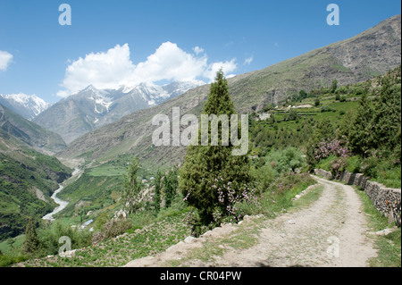Mountain road in the green valley of Keylong, Lahaul and Spiti district, Himachal Pradesh, India, South Asia, Asia Stock Photo