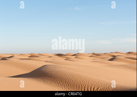 Sand dunes, yellow sand with ripple marks in a desert, Sahara, Southern Tunisia, Tunisia, Maghreb, North Africa, Africa Stock Photo