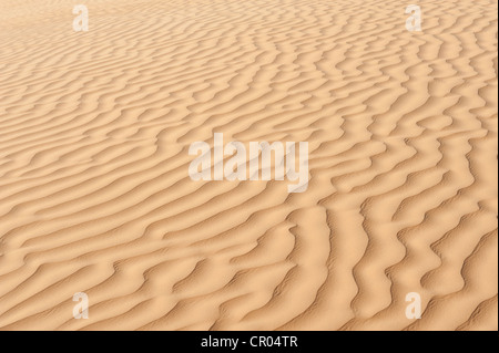 Yellow sand with ripple marks in a desert, Sahara, Southern Tunisia, Tunisia, Maghreb, North Africa, Africa Stock Photo