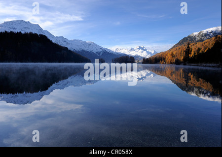 Lake Champfer with larch forest with autumnal colouring, Mt Piz da la Margna at back, St. Moritz, Engadine, Grisons, Switzerland Stock Photo