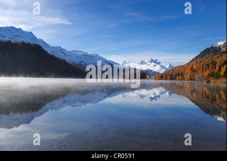 Lake Champfer with larch forest with autumnal colouring, Mt Piz da la Margna at back, St. Moritz, Engadine, Grisons, Switzerland Stock Photo