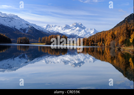 Lake Champfer with larch forest with autumnal colouring, St. Moritz, Engadine, Grisons, Switzerland, Europe Stock Photo