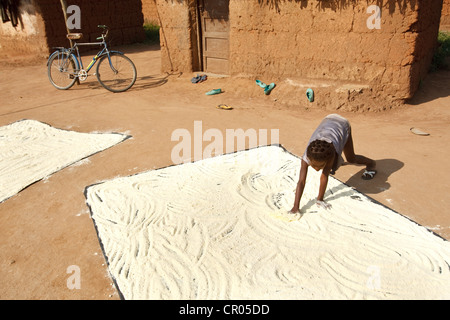 A girl who doesn't go to school spreads ground cassava to dry in the sun in the village of Djorbana, Zanzan region Stock Photo