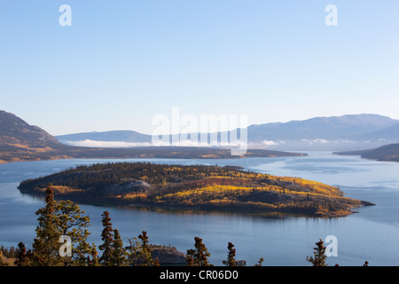 Bove Island in Indian summer, leaves in fall colours, autumn, Windy Arm of Tagish Lake, South Klondike Highway, Yukon Territory Stock Photo