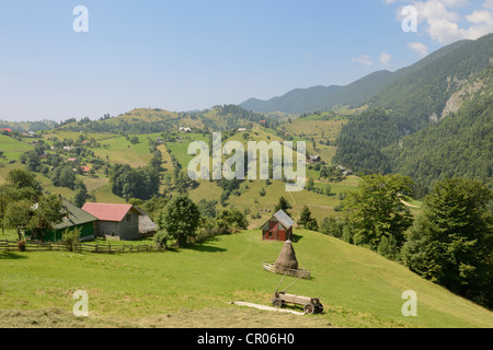 View of the scattered settlements of Magura, Piatra Craiului Mountains, Romania, Europe Stock Photo